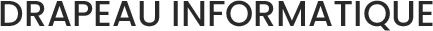 Logo Drapeau Informatique